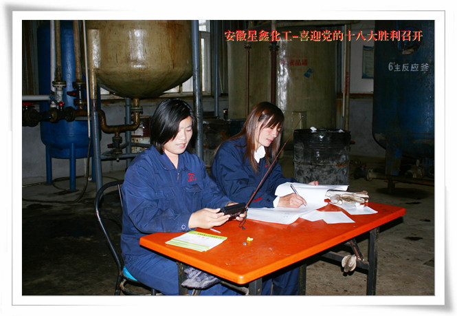 喜迎黨的十八大勝利召開(kāi)-安徽星鑫化工科技有限公司