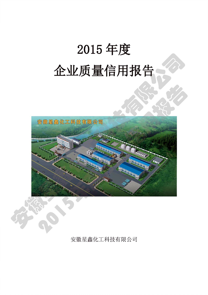 安徽星鑫化工科技有限公司-2015年度質(zhì)量信用報告