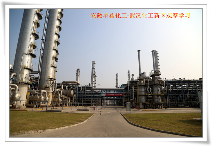 安徽星鑫化工科技有限公司-武漢化工新區(qū)80萬噸/年乙烯項目參觀學(xué)習(xí)