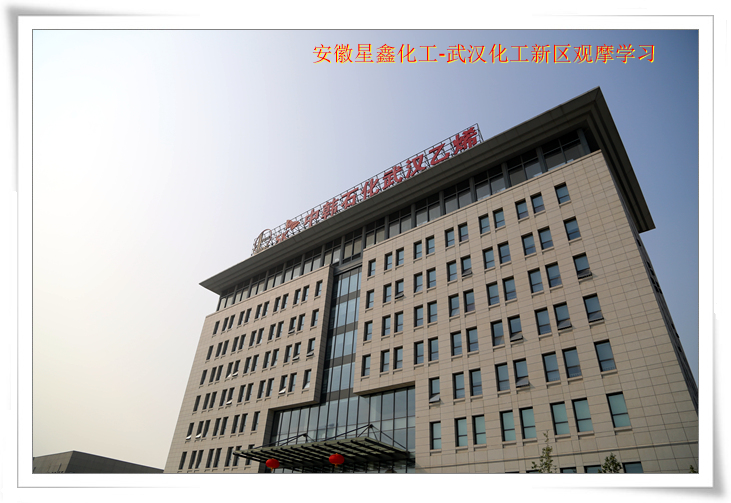 安徽星鑫化工科技有限公司-武漢化工新區(qū)80萬噸/年乙烯項目參觀學(xué)習(xí)