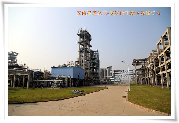 安徽星鑫化工科技有限公司-武漢化工新區(qū)80萬噸/年乙烯項目參觀學(xué)習(xí)